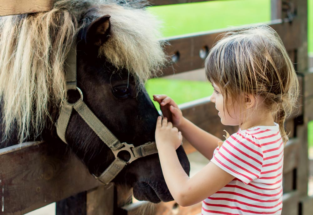 Little girl petting a pony