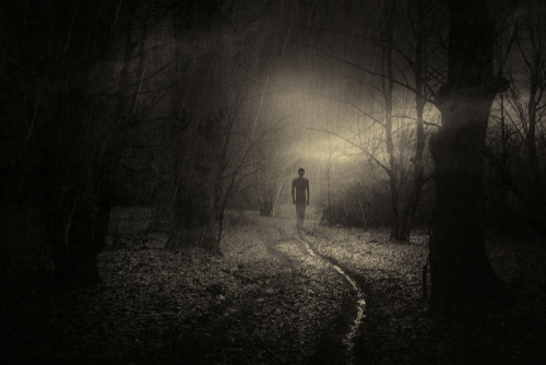 A lonesome figure in a dark forest