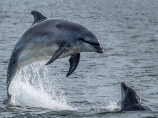 Islay-Sea-Adventure-3 Islay-Sea-Adventure-3